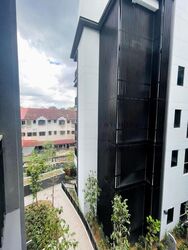 Mayfair Gardens (D21), Condominium #459580241